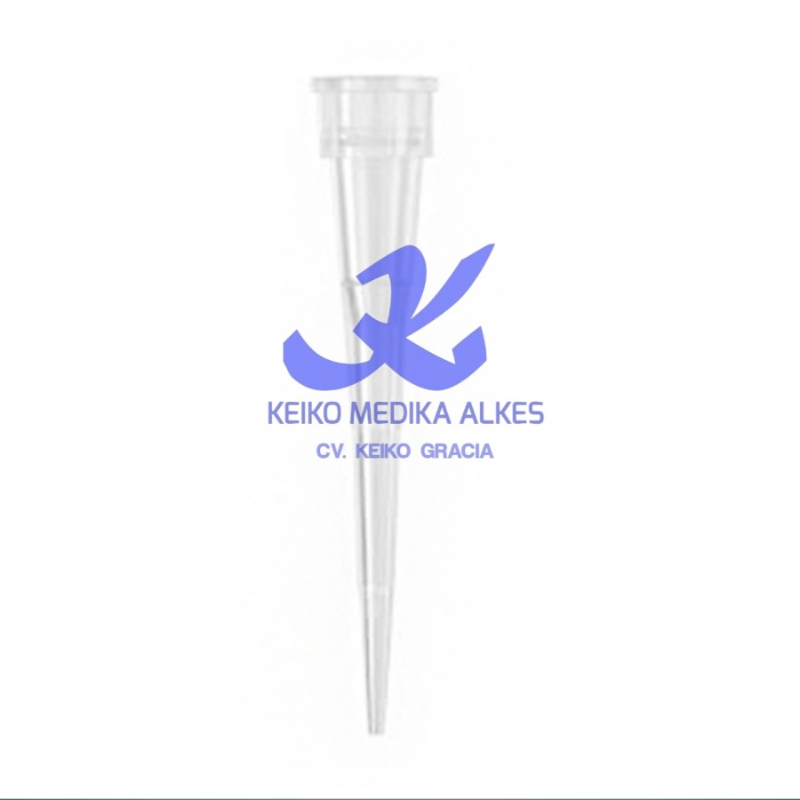 white tip/12pcs